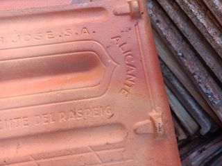 Teja Alicantina San José