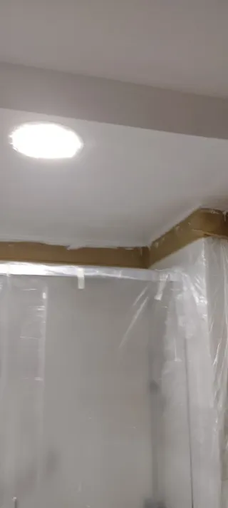 Pinto  y reparo techos