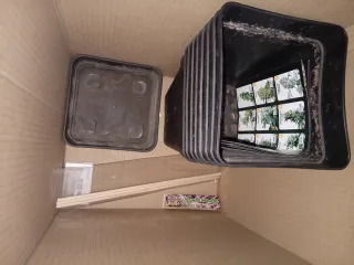 Lote Top Crop: Veg, Barrier y Bloom