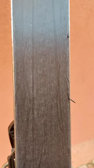 Esquís Salomon Race 137 cm