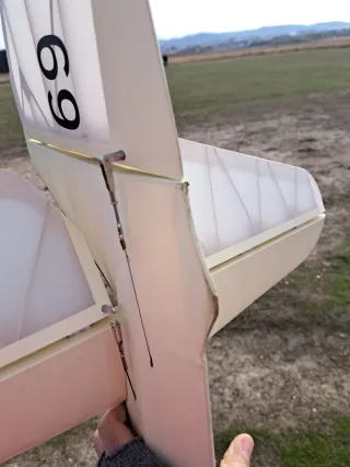 Bergfalke 3.5m Aeronaut velero RC