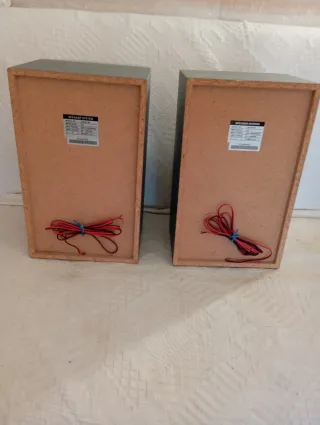 Altavoces LG Plata y Negro