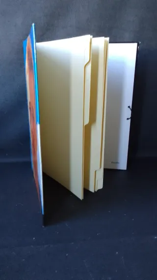 Carpeta Brad Pitt vintage