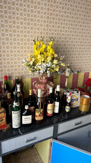 Colección Botellas Bebida +50 Años