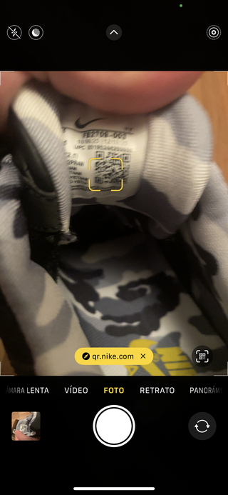 Nike Air Max 95 TT x Corteiz