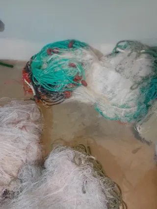 Red de pesc. a de perca 642741847t