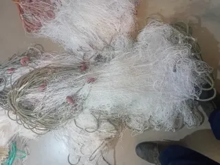 Red de pesc. a de perca 642741847t