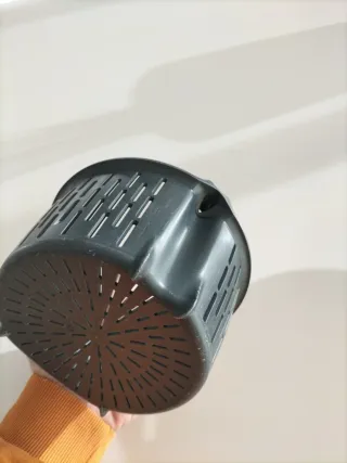 Cestillo Thermomix TM31