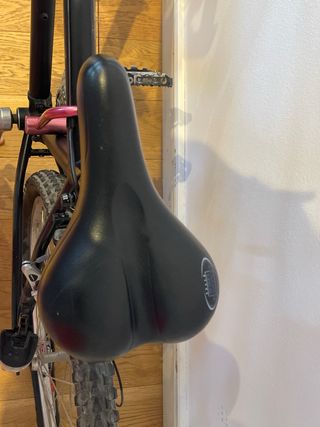 Bicicleta Negra Montaña