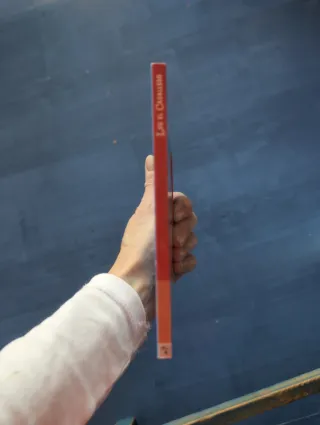 Leo el caballero  SUEÑOS (Spanish Edition)