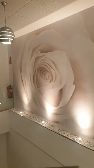 Pintor profesional y económico