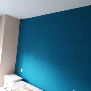 Pintor profesional y económico