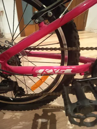 Bicicleta infantil rosa 20pulgas