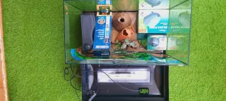 Acuario 35 l. con accesorios Regalo  piscina