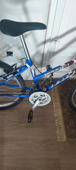 Bicicleta BH 20 Azul/Rosa Muy Buen Estado