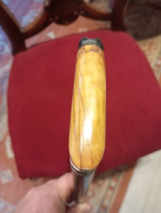 Bastón madera cabeza galgo