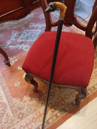 Bastón madera cabeza galgo