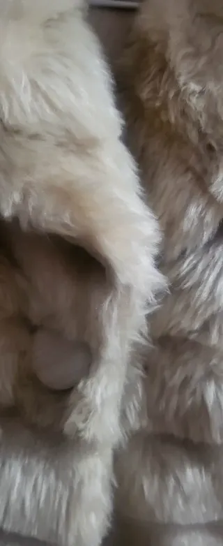 Abrigo corto pelo sintético beige