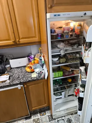 Frigorífico completo funcionando como el primer di