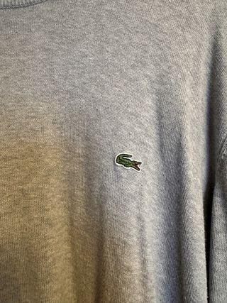 Jersey Lacoste Gris
