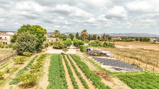 Masía en venta en Deltebre