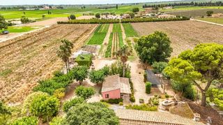 Masía en venta en Deltebre