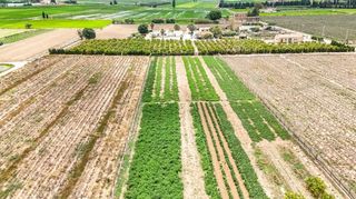 Masía en venta en Deltebre