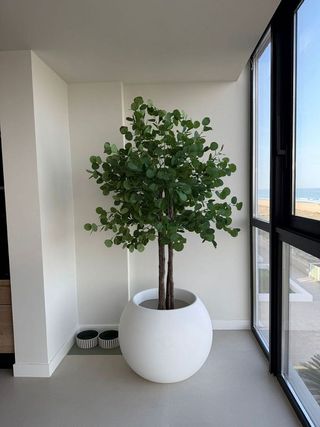 Piso en alquiler en Xeraco