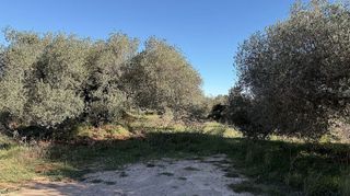 Terreno en venta en Alcalà de Xivert pueblo en Alcalà de Xivert