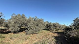 Terreno en venta en Alcalà de Xivert pueblo en Alcalà de Xivert