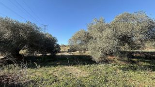 Terreno en venta en Alcalà de Xivert pueblo en Alcalà de Xivert