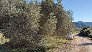 Terreno en venta en Alcalà de Xivert pueblo en Alcalà de Xivert