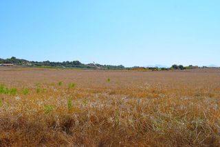 Terreno en venta en Santa Margalida en Santa Margalida