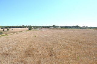 Terreno en venta en Santa Margalida en Santa Margalida