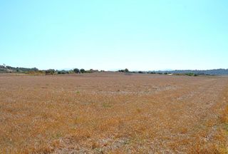 Terreno en venta en Santa Margalida en Santa Margalida