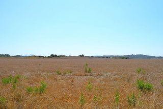 Terreno en venta en Santa Margalida en Santa Margalida