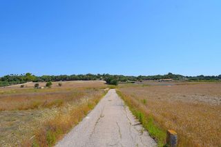 Terreno en venta en Santa Margalida en Santa Margalida