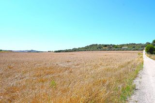 Terreno en venta en Santa Margalida en Santa Margalida