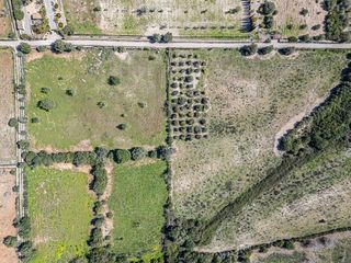 Solar en venta en Sant Llorenç des Cardassar