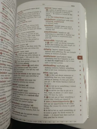 Cambridge Essential English Dictionary