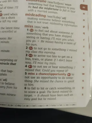 Cambridge Essential English Dictionary