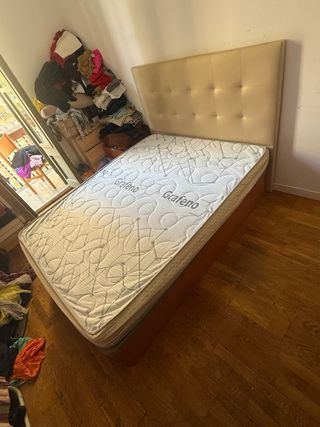 CANAPÉ CANAPÉ CANAPÉ CANAPÉ CANAPÉ