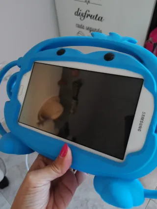 Samsung Galaxy Tablittle 7