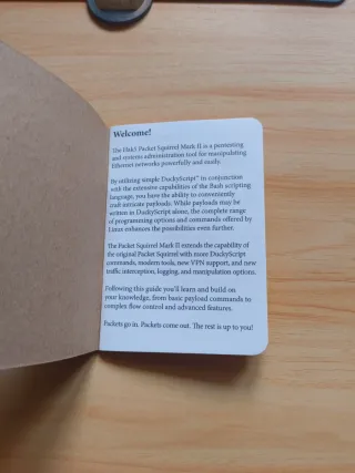 Packet Squirrel Hak5 Guía Rápida