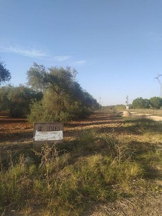 Terreno en venta en Almensilla