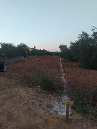 Terreno en venta en Almensilla