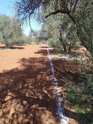 Terreno en venta en Almensilla