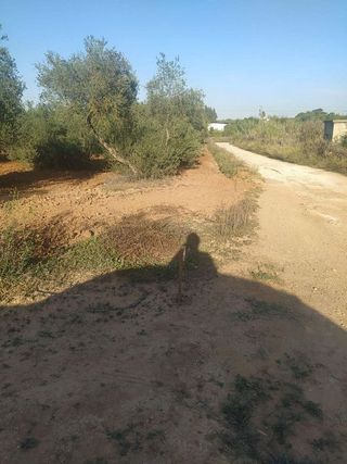 Terreno en venta en Almensilla