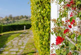 Ático en venta en Benahavís