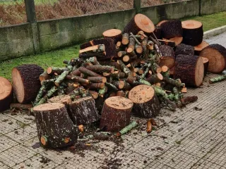 Se vende madera barata